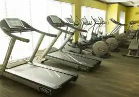 Rental by Apartment Wolf | The Fields Woodlake Square | 2630 Tanglewilde St, Houston, TX 77063 | apartmentwolf.com Rental by Apartment Wolf | The Fields Woodlake Square | 2630 Tanglewilde St, Houston, TX 77063 | apartmentwolf.com