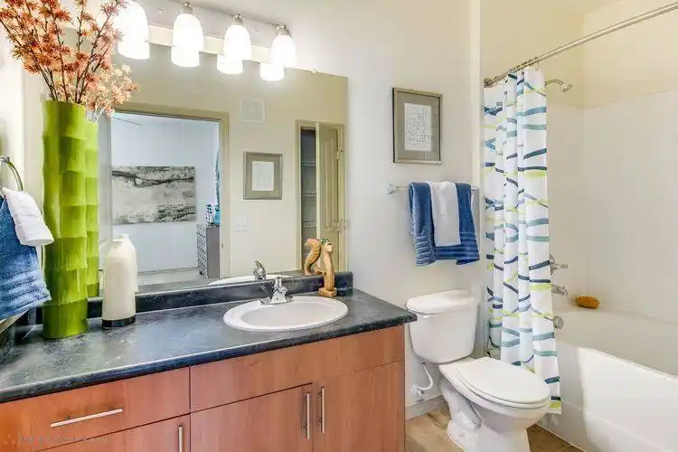 Rental by Apartment Wolf | Cortland La Villita | 6419 Tranquilo, Irving, TX 75039 | apartmentwolf.com